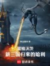 霍格沃茨,新三国归来的哈利